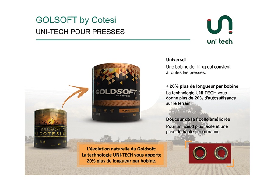 Goldsoft by Cotesi